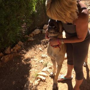 Maserof Kennels 058