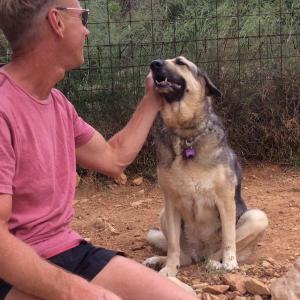 Maserof Kennels 059