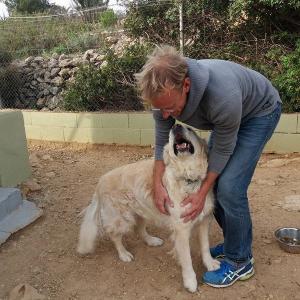 Maserof Kennels 066