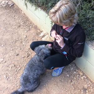 Maserof Kennels 078