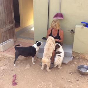Maserof Kennels 084