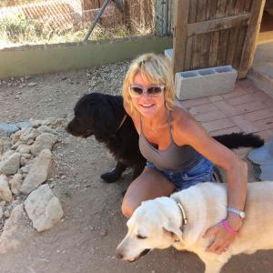 Maserof Kennels 085