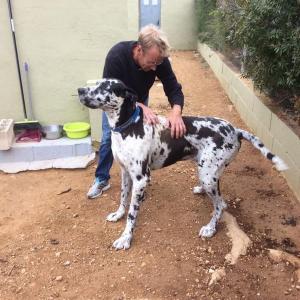 Maserof Kennels 086