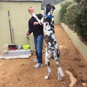 Maserof Kennels 087