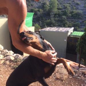 Maserof Kennels 093
