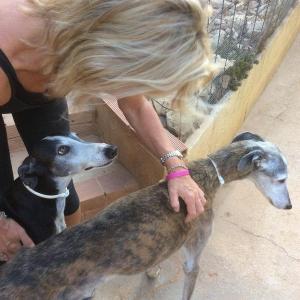Maserof Kennels 110