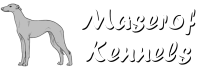 Maserof Kennels